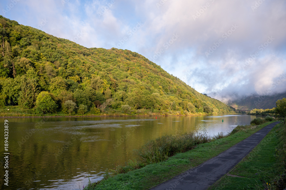 Fototapeta premium Silent morning on Moselle River near Ediger-Eller town, view of water and green hills, tourist destination in Germany