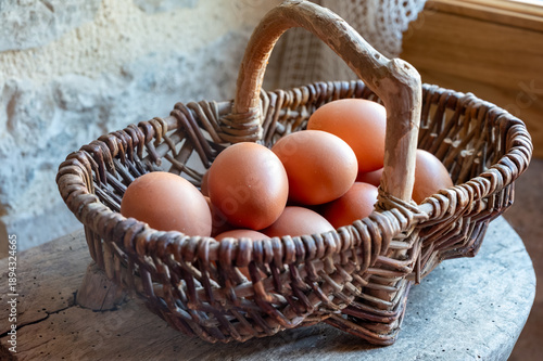 Brown cage-free bio organic farm chicken eggs in basket