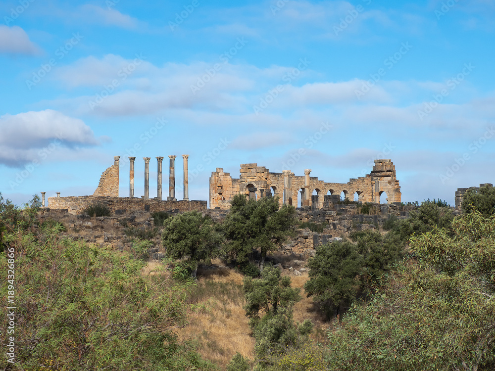 Fototapeta premium Exterior view of the Basilica and the Capitoline Temple at Volubilis, UNESCO heritage. Complex of ruins of the Roman city Volubilis - Meknes region, Morocco, North Africa