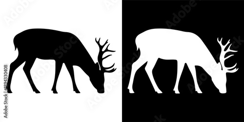 Silhouette of a Deer Grazing on White and Black Backgrounds.