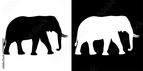 Silhouette of an elephant in black and white.