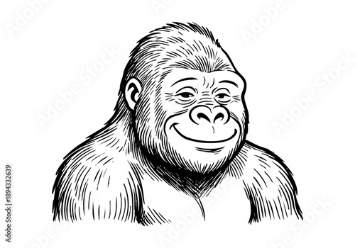 Gorilla hand drawn simple sketch vector illustration