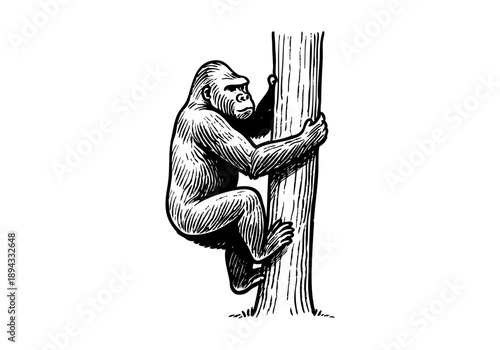 Gorilla hand drawn simple sketch vector illustration