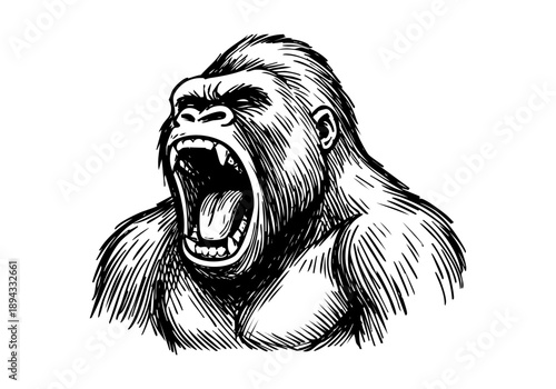Gorilla hand drawn simple sketch vector illustration