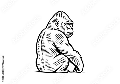 Gorilla hand drawn simple sketch vector illustration