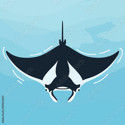 Manta Ray Swimming Underwater