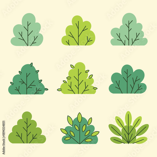 Collection of various green plants and leaves in different shades.