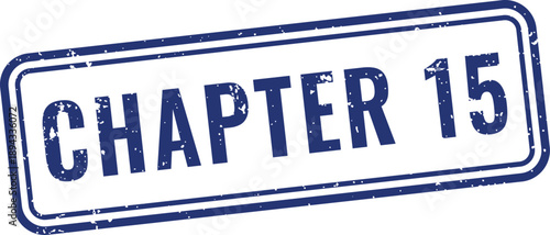 Blue chapter fifteen rubber stamp seal with distressed ink effect for academic textbook final section marking