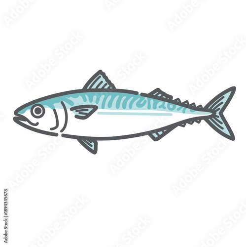 鯖（サバ）のイラスト（一尾/青魚/DHA・EPA）