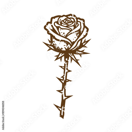 Vintage Grunge texture grungy rose with thorns on stem isolated on white background  a single flower