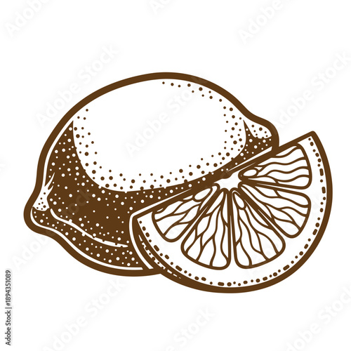 Vintage Grunge texture Drawing of a whole lemon with a sliced wedge next to it in sepia tone  citrus fruit