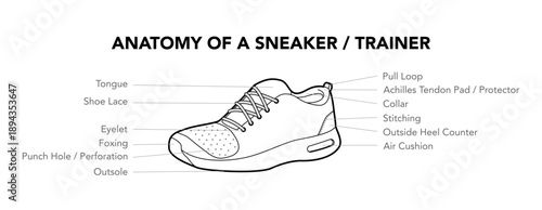 Sneaker trainer anatomy diagram single line. Tongue, lace, eyelet and collar construction for learning, professional reference. Technical fashion illustration CAD mockup vector isolated classic style