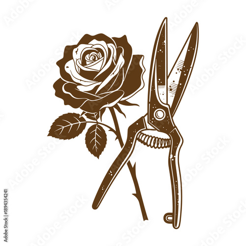 Vintage Grunge texture Vintagestyle illustration of rose flower with pruning shears for gardening and floral design isolated on white background