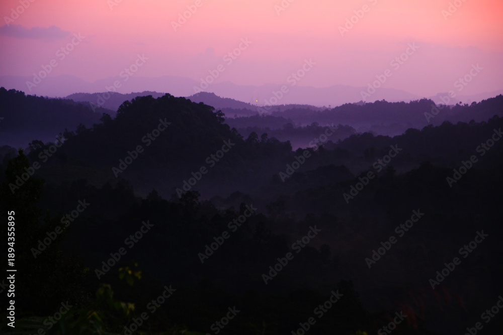 Obraz premium Beautiful gradient of misty fog forest at Pahang, Malaysia