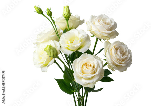 Elegant arrangement of delicate white roses, vibrant cream eustoma, green buds, isolated on transparent with copy space. High-key studio lighting, concept of pure floral elegance