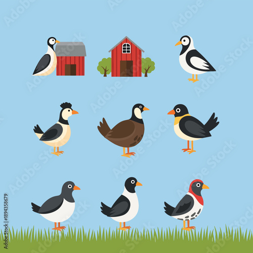 Farm Birds Standing on Grass