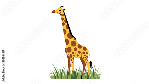 Giraffe Standing in Green Grass Illustration.