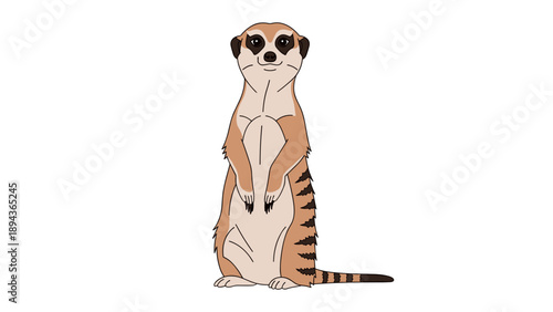 Meercat Standing Upright on Hind Legs.