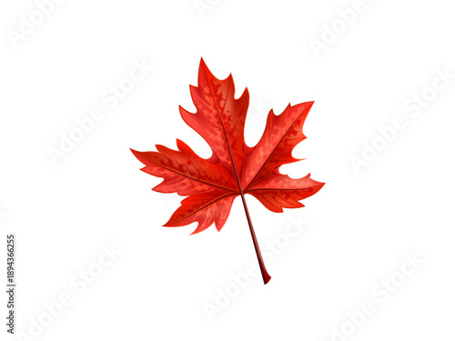 Beautiful autumn red maple leaf isolated on white background realistic seasonal foliage symbol nature fall decoration botanical design concept for eco projects
