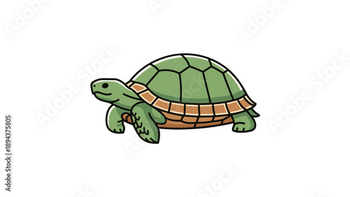 Green Cartoon Turtle Illustration on White.