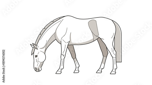 Line Drawing of Horse Grazing.
