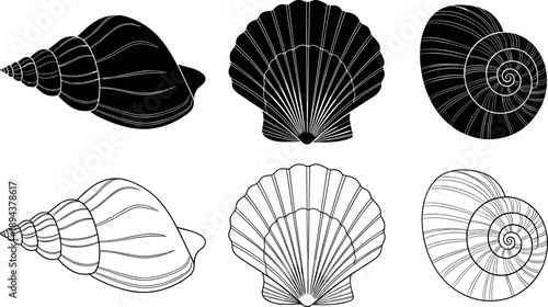 Seashell silhouette and line vector illustration set isolated on white background, marine ocean shell icons including conch, scallop and spiral shells for coastal design