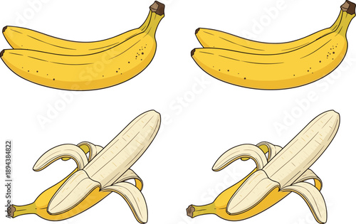 Fresh banana illustration set showing whole and peeled ripe bananas, healthy tropical fruit collection isolated on white background, food nutrition concept vector artwork