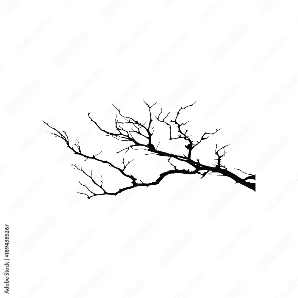 Fototapeta premium Bare tree branch silhouette on white