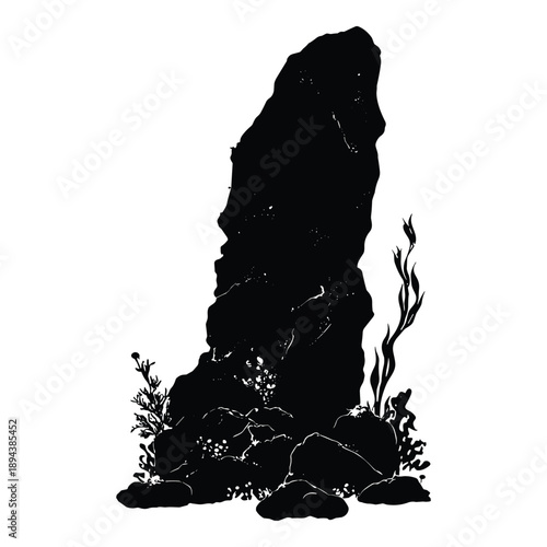 Tall rock with surrounding smaller stones and seaweed silhouette