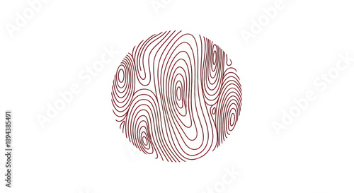 Abstract circular pattern with organic flowing lines and natural texture.