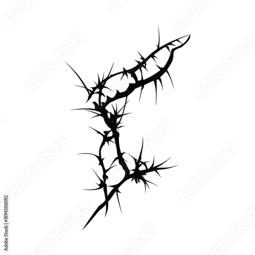 Black thorn branch silhouette on white background