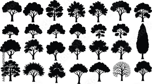 Black tree silhouettes collection featuring diverse deciduous shapes isolated on white background, botanical nature icons set for design, landscaping, illustration, and environmental projects