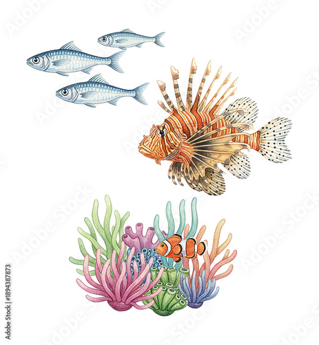 Vibrant watercolor illustration of a lionfish swimming with other fish and a clownfish hiding in colorful coral reef