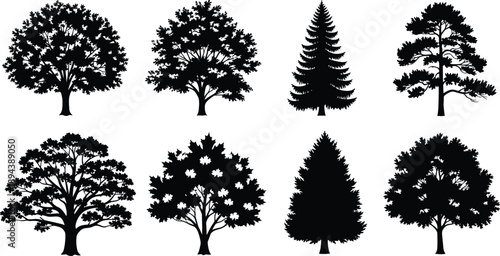 Black tree silhouettes set isolated on white background including oak maple pine spruce and deciduous forest nature elements for graphic design