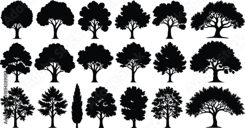 Black tree silhouettes set with various deciduous and evergreen pine spruce fir and cypress species isolated on white background vector illustration