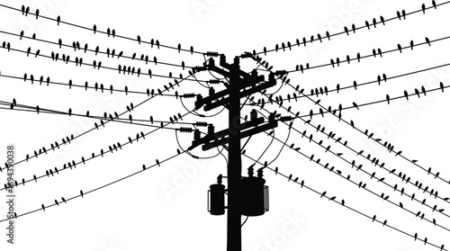 Electric power pole with multiple transmission lines and birds perched on wires, urban wildlife and electricity infrastructure silhouette, black vector illustration concept
