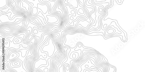 Modern relief white and gray line location discovery. vector topo map design paper background. topographic world grid wave Topographic map geographic line texture.