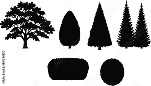 Tree and bush silhouette set including deciduous evergreen conifer plants isolated on white background for landscape design