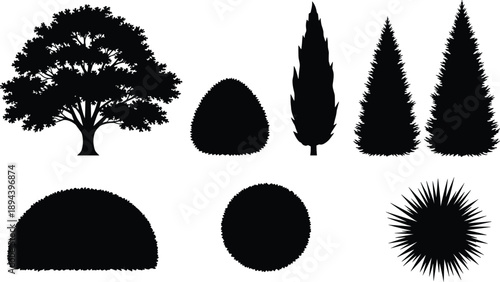 Tree and bush silhouettes collection, landscaping plants shapes, garden elements icons isolated on white background illustration