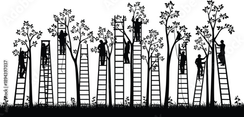 Tree harvesting silhouettes with ladders, people picking fruits from orchard trees, agriculture teamwork illustration isolated on white