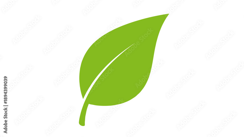 Fototapeta premium Green leaf with stem and veins.