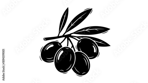 Black Olives on Branch Illustration.