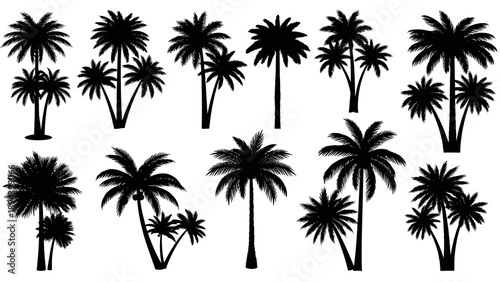 Collection of black palm tree silhouettes.