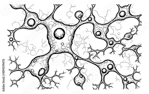 Hand drawn line art illustration of a microscopic structure depicting an organic network for science and biology