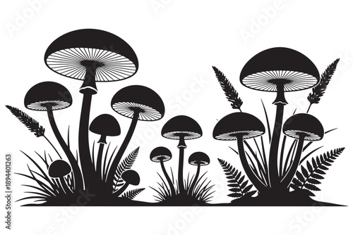 A black and white illustration of mushrooms and plants in a forest setting
