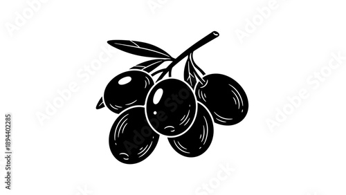 Black and White Cherry Illustration.