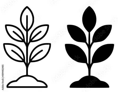 Plant growing illustration icon, black and white in outline and silhouette style