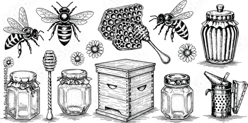Hand drawn honey bee set with honey jar, honeycomb, beehive, organic nectar, cad drawing flat vector illustration, isolated beekeeping element.