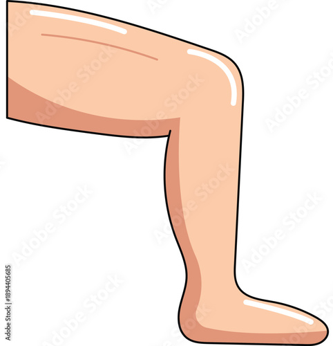 Human Leg Bent at Knee Cartoon Illustration