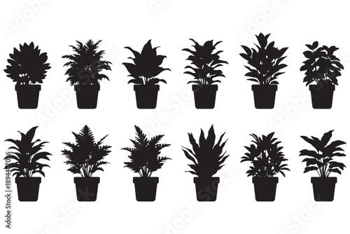 A collection of various potted plants in black silhouette on a white background